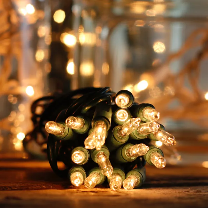 15-bulb Clear Glass Craft Lights, Green Wire