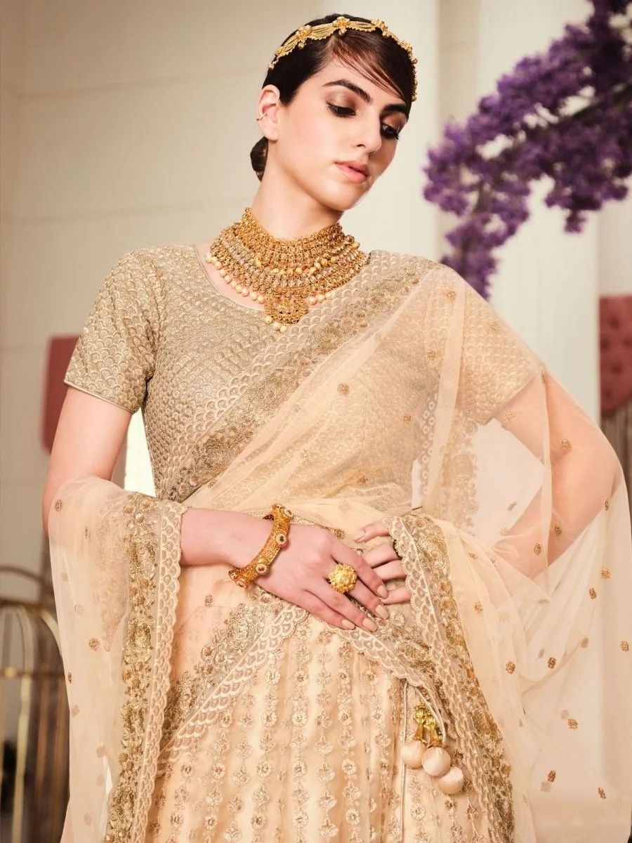 Beige Net Festive Lehenga Choli