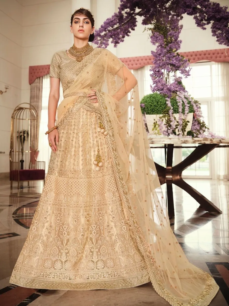 Beige Net Festive Lehenga Choli