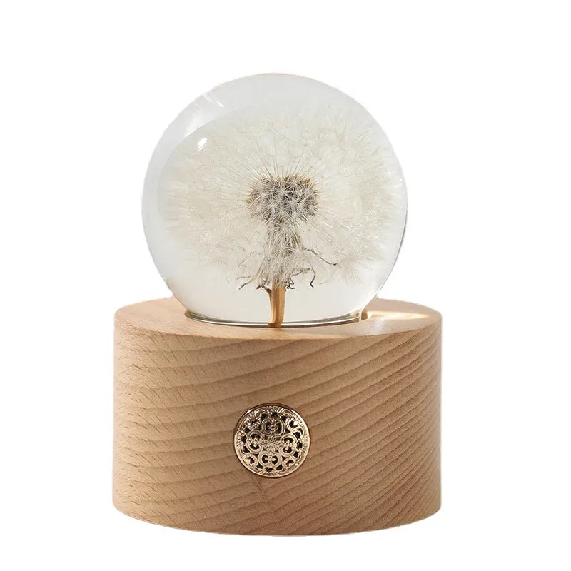 Bulk Preserved Dandelion Crystal Ball Gifts Light Up Ornament Wholesale