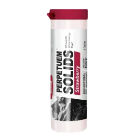 Hammer Nutrition - Perpetuem Solids Tube - Strawberry