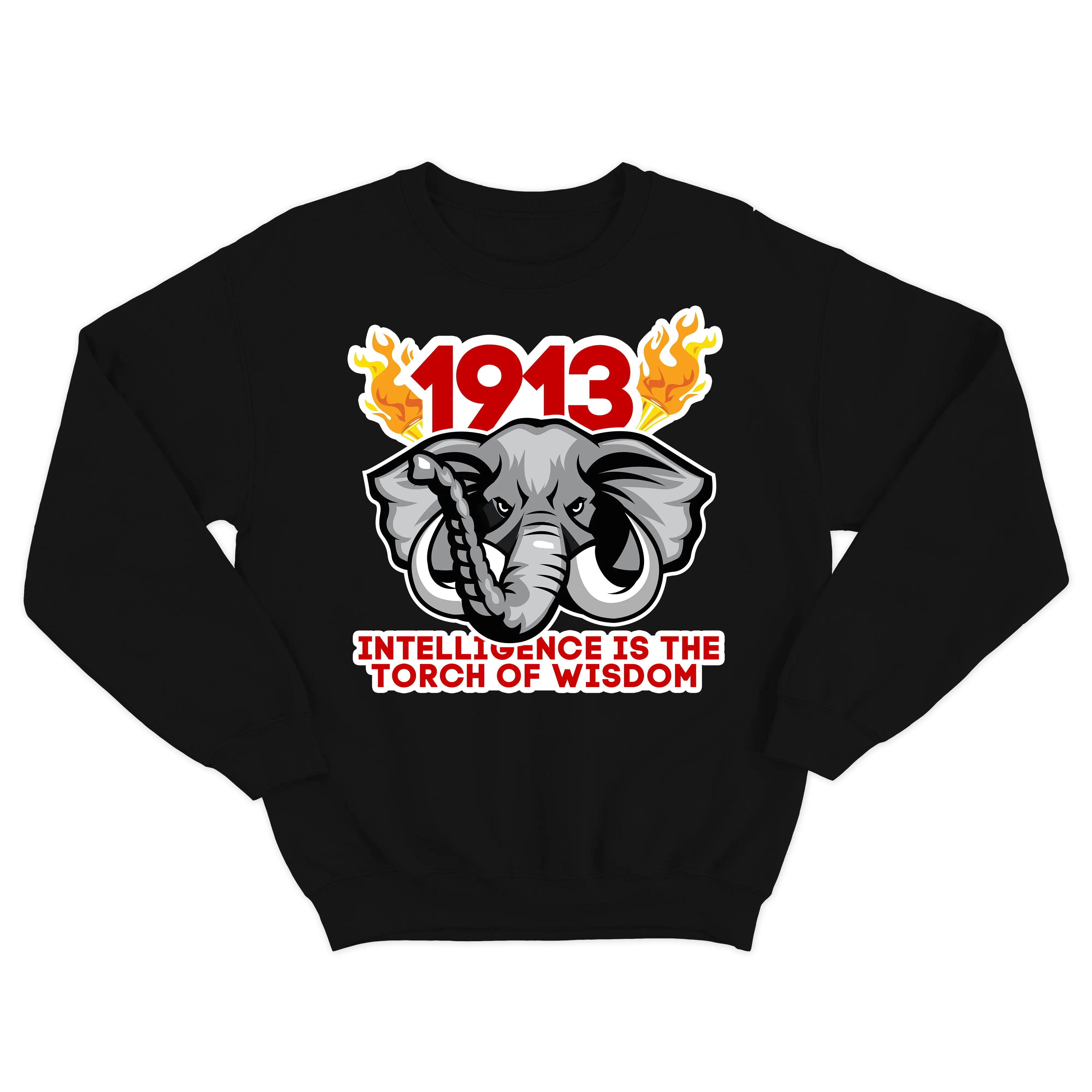 Intelligence is the torch of wisdom Sweatshirt (various colors)