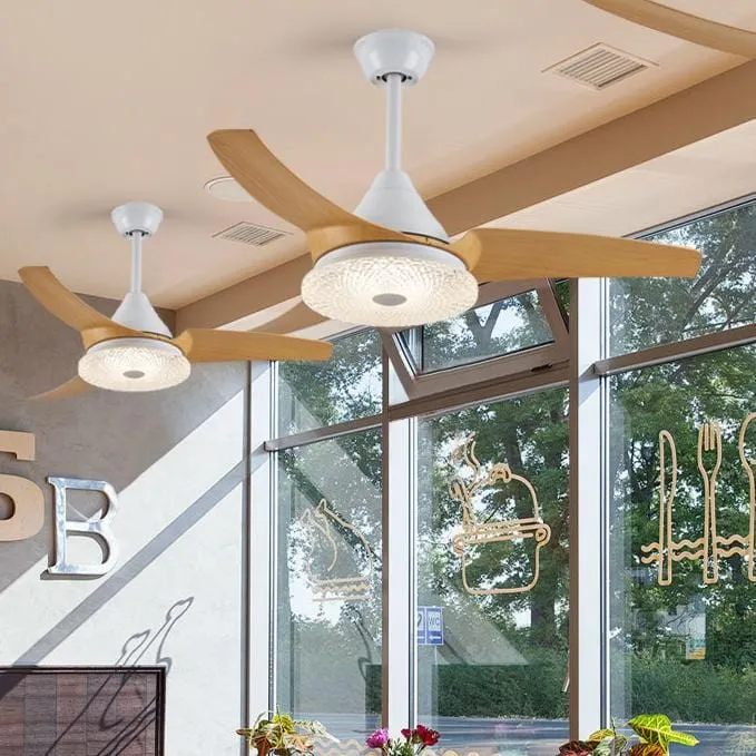 Isadora | Lighted Ceiling Fan