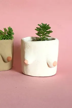 Painted Cement Boob Pot - Light Pink