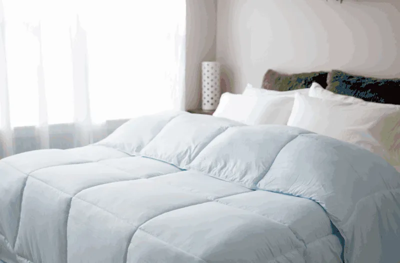 Pillowtex Dream in Color Comforter | All Season Weight with Soft Polyester Cover and Fill