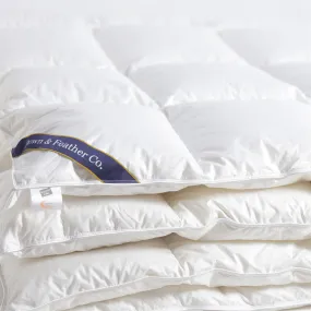 Snuggle Soft 600 Year-Round Down Comforter - Queen (90" x 90")