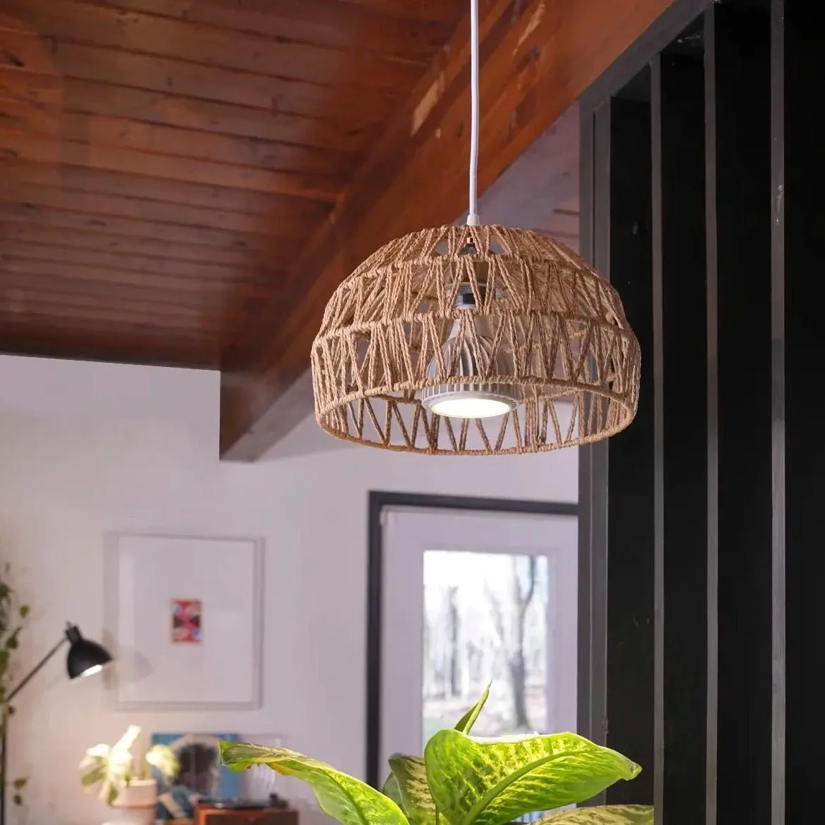 Vita LED Grow Light Pendant Kit - Effortless Indoor Plant Care