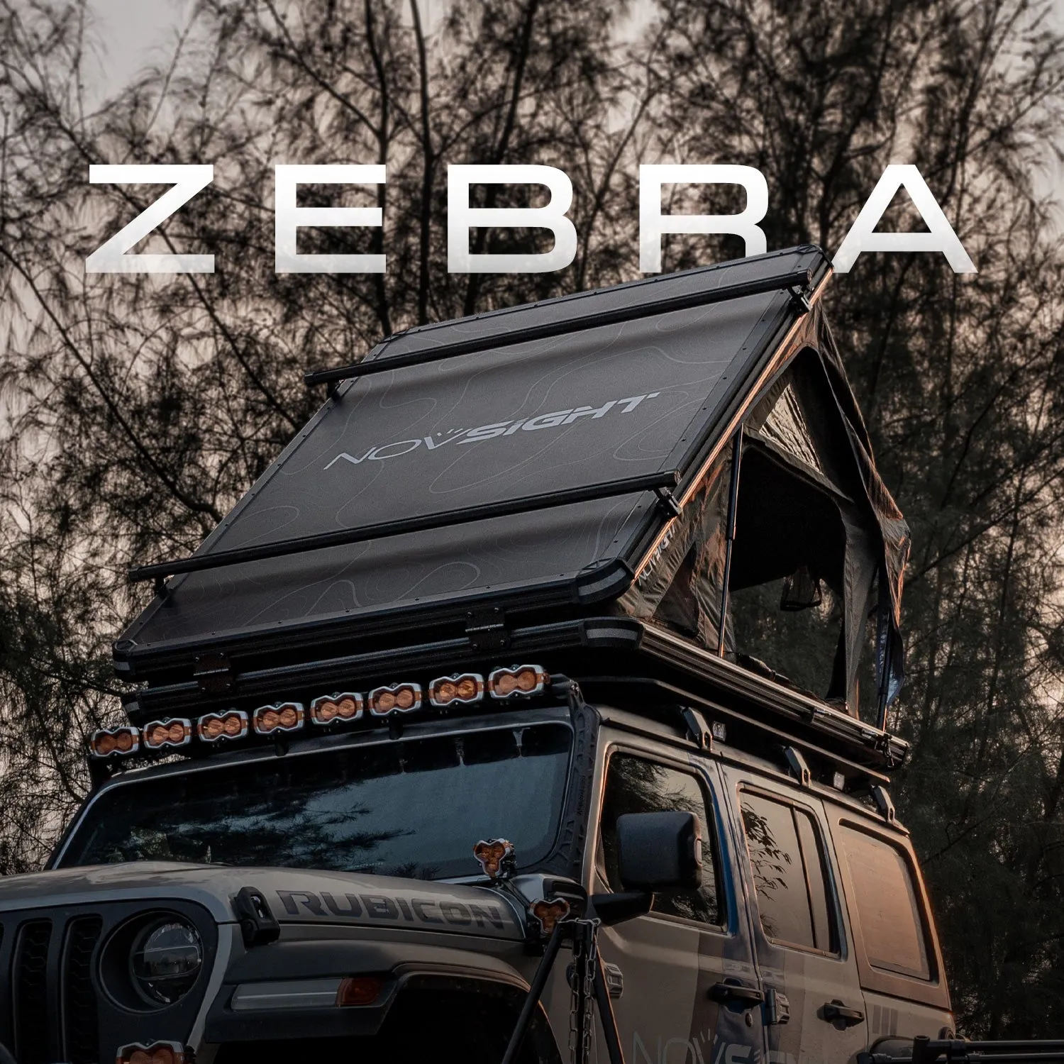 Zebra Rooftop Tent